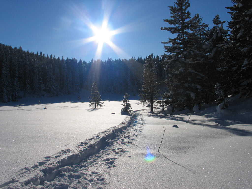 Winterwunderland Pitztal